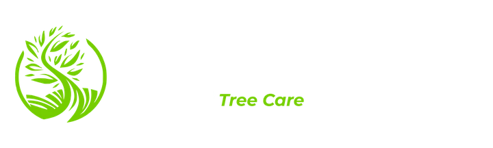 Bayside Trees — Your Local Tree Care Experts (white and green logo)