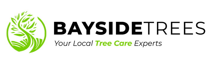 Bayside Trees — Your Local Tree Care Experts