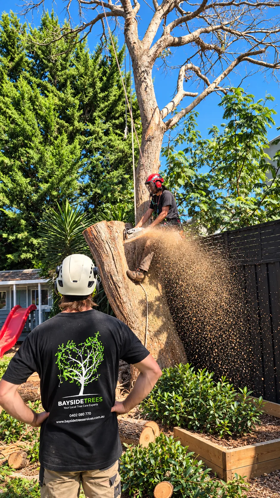 Bayside Trees team safely dismantling a tree, with branded uniform and sawdust